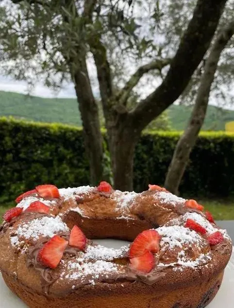 מלון דירות פונטאסייבה Agriturismo Il Giardino