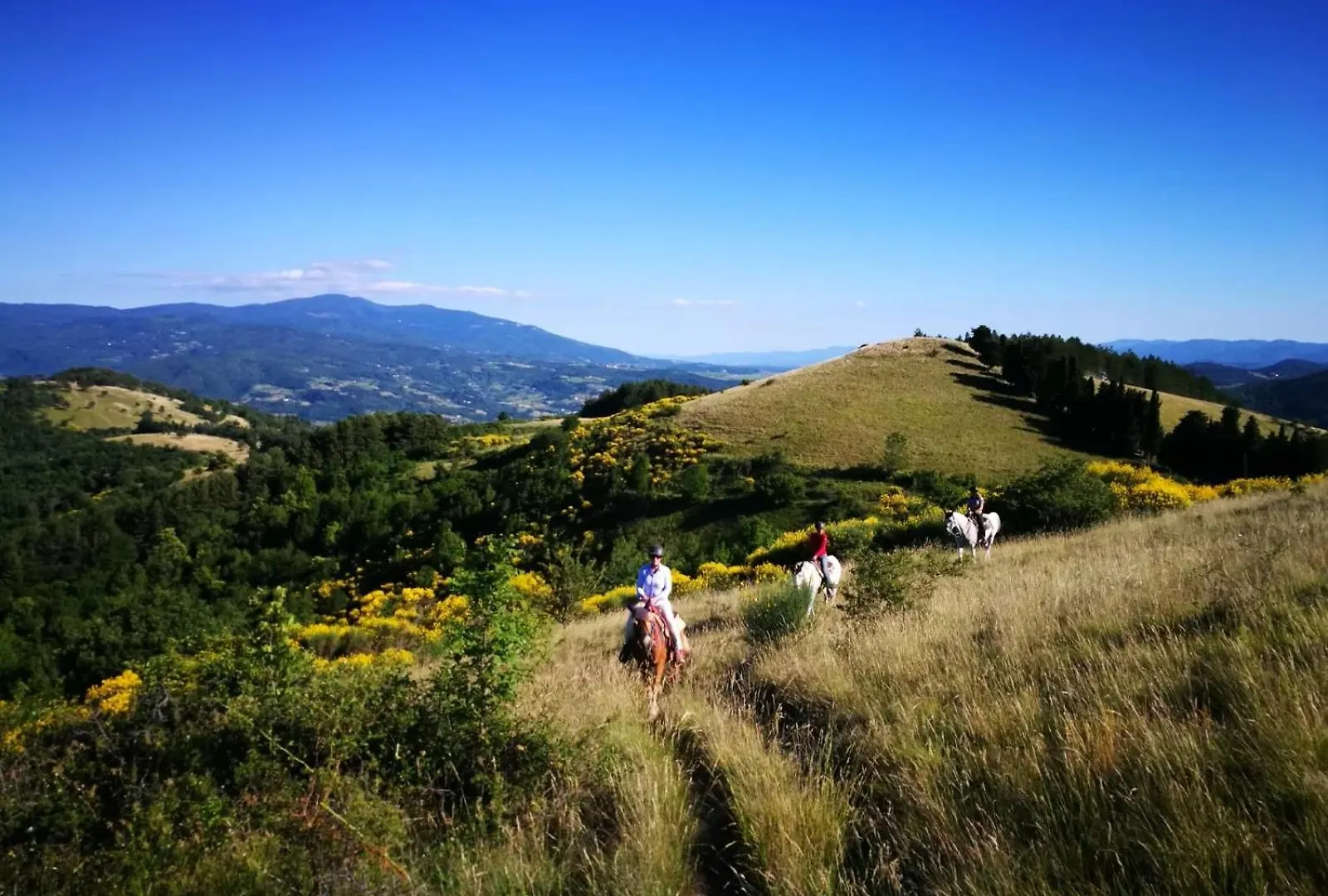 Agriturismo Il Giardino Pontassieve